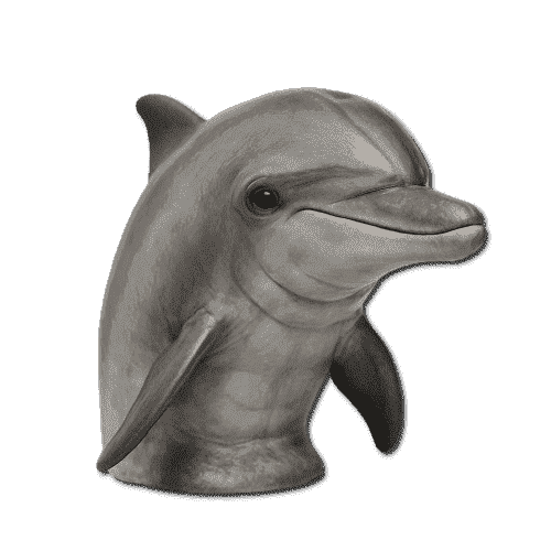 Dolphin