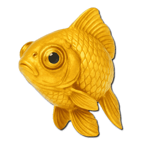 Goldfish