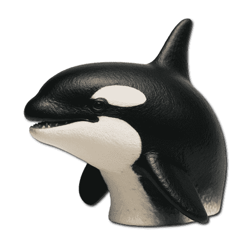Orca