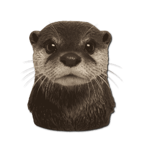 Otter